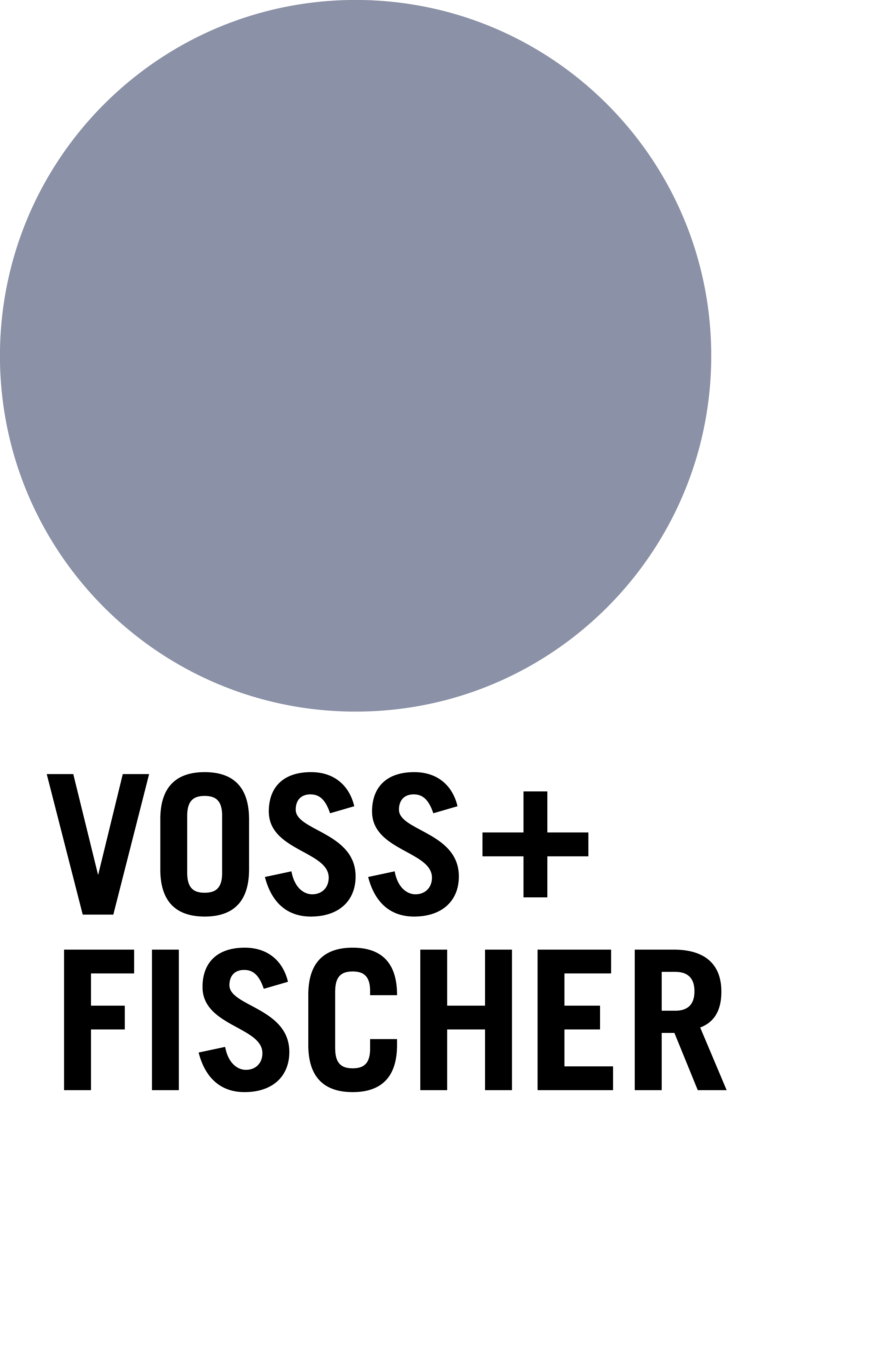 Logo VOSS+FISCHER gmbh